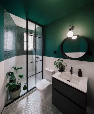 Стеклянные перегородки и экраны в ванной комнате: 25+ примеров | myDecor