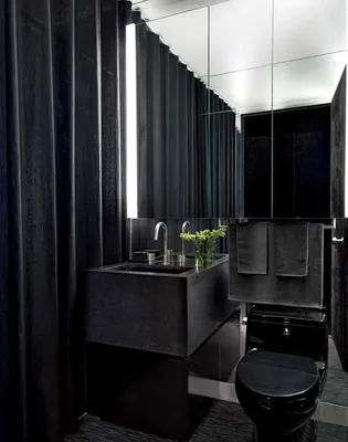 Чёрно-белый интерьер: эффектный дизайн туалета — лучшие идеи — Roomble.com