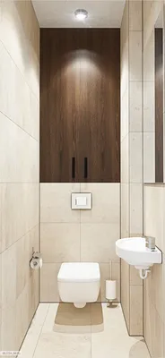 Санузел в частном доме (58 фото): планировка под лестницей на второй этаж,  как устроить вентиляцию в ванной и туалете на даче, оптимальные размеры и  интересные проекты