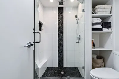 Черно белая ванна с душевой кабиной - 70 фото