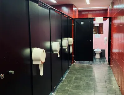 Показатель уровня развития общества или культурная особенность? Сделали  подборку самых запоминающихся туалетов в Беларуси и мире | СмартПресс:  Среда обитания