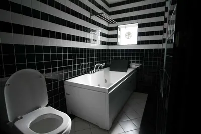 Отделка ванной в чёрно-белой гамме - 90+ эффектных решений