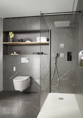Smart Shower электронный смеситель для душа Wi-Fi, 230В 5A104AC00 Roca  купить в Москве со скидкой
