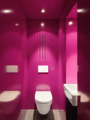 Розовый туалет - 70 фото
