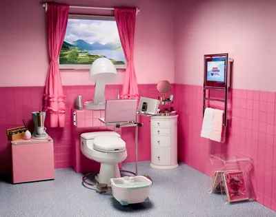 Розовый туалет - 70 фото