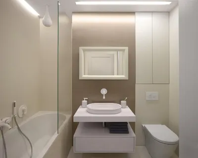 Дизайн ванной комнаты с туалетом - идеи для совмещенного санузла