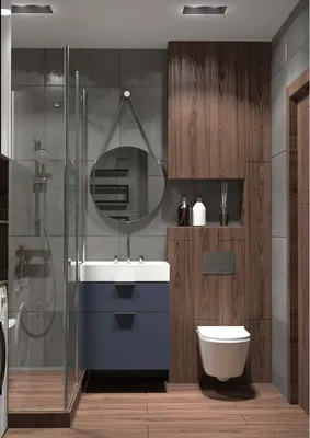 Дизайн Душевой Комнаты С Туалетом [20+ Фото и Идеи] Интерьеры PORTES