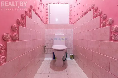 Как выглядит туалет для принцессы? Под минском продают обычную квартиру с  необычным санузлом - Realt