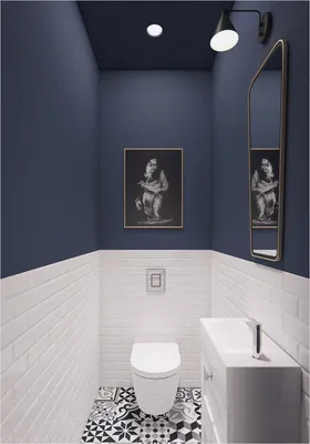 Дизайн туалета плитка и краска - 60 фото