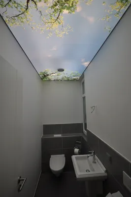 Потолок в туалете из пластиковых панелей - 55 фото