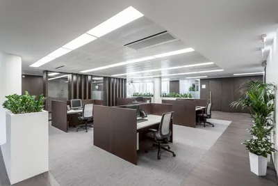 Дизайн-проект офиса (кабинета) в Минске под ключ