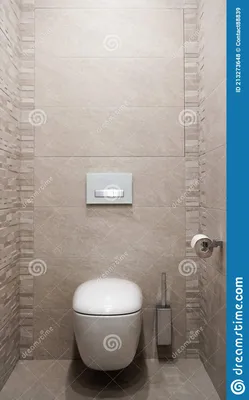 Дизайн туалета со строением- в туалете.. Построение- в туалете делает как  все элементы, кроме туалета Стоковое Фото - изображение насчитывающей  ñƒñ€oð²ðµð½ñœ, ñ‚ñƒð°ð»ðµñ‚: 213273648