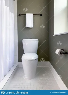 Дизайн интерьера туалета: внешний вид, зрительное расширение, совмещенный с  ванной, унитаз, ванна или душевая кабина, другая сантехническа, мебель,  отделка | iLEDS.ru