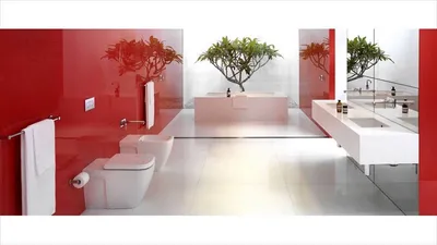 Красная плитка в туалете - 48 фото