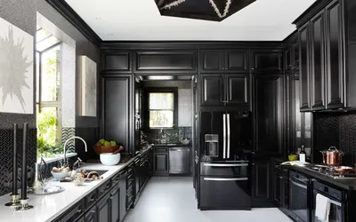 Дизайн кухни в черном цвете - 60 фото