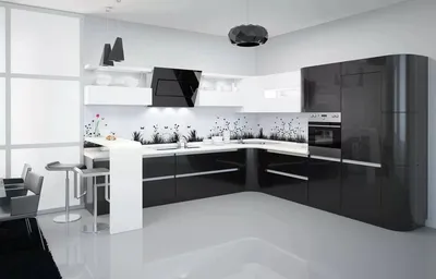 Дизайн кухни в черно белых тонах - 59 фото
