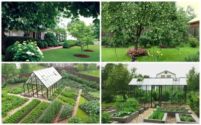 Ландшафтный дизайн дачного участка: варианты обустройства садового участка  на даче