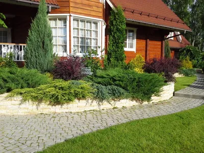 Идеи ландшафтного дизайна двора деревенского дома: 100 лучших фото