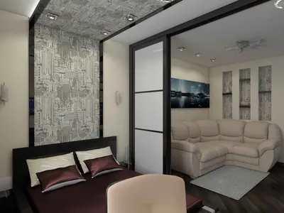 Дизайн комнаты гостиная-спальня 18 кв.м зонирование » Дизайн 2021 года -  новые идеи и примеры работ