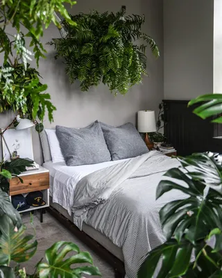 Интерьер спальни с зелеными обоями » Картинки и фотографии дизайна квартир,  домов, коттеджей