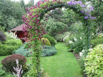 Садовая арка и пергола: декоративные элементы из металла и дерева