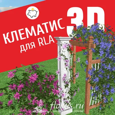 База растений «Клематис 3d» для Realtime Landscaping Architect | flokus.ru  - ландшафтный дизайн