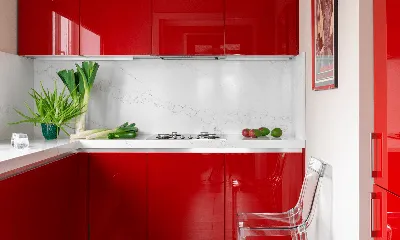 Интерьер кухни в красно-белых цветах - 22 фото дизайнов