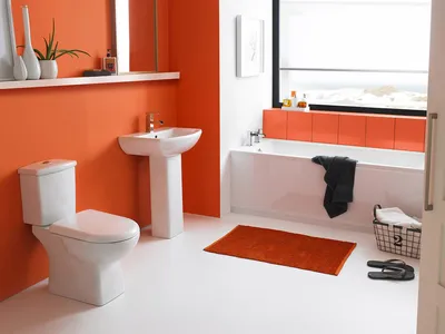 Как покрасить стены в ванной | \"EEU-A\" - портал строительства и  проектирования