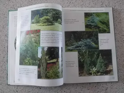 Хвойные растения в дизайне сада.: 150 грн. - Книги / журналы Дымер на Olx
