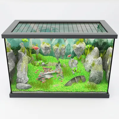 дизайн аквариума 3D Модель $11 - .max - Free3D