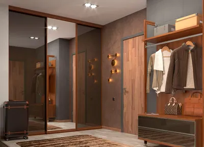 Дизайн шкафов-купе в прихожую — 30 фото идей интерьера в блоге Mr.Doors