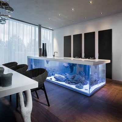 Аквариум на кухне или кухня в аквариуме: потрясающий пример необычного  декора — Roomble.com