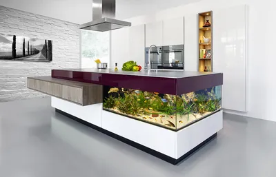 Большой аквариум на кухне: необычный проект голландского дизайнера | О  мебели | Дзен