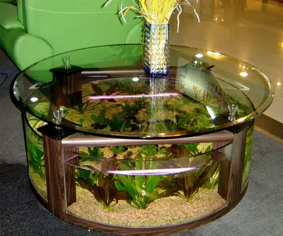 Аквариум в интерьере кухни красивые фото декоративных аквариумов