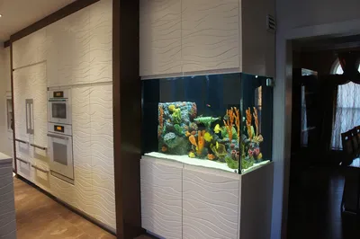 Как расположить аквариум в интерьере кухни – Газета \"Право\"