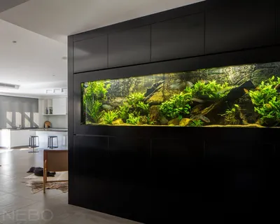 Черная мебель для аквариума на всю высоту помещения в прихожей - на заказ в  Москве