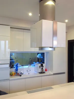 Пресноводный аквариум вместо кухонного фартука | Дизайн кухонь, Аквариум,  Дом
