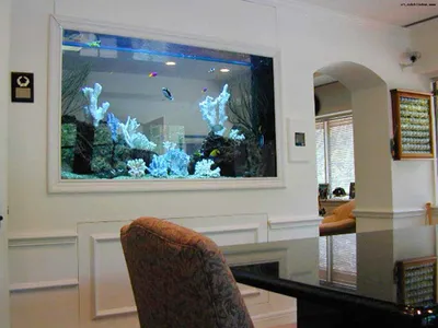 Аквариум – интересная идея в интерьере вашего дома | Мир аквариума
