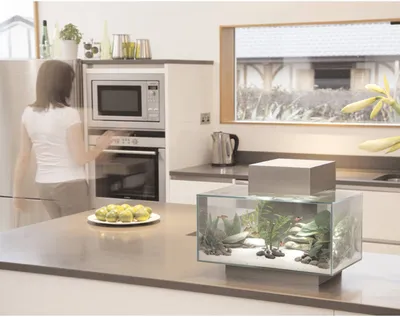 Дизайн кухонь с аквариумами (54 фото)