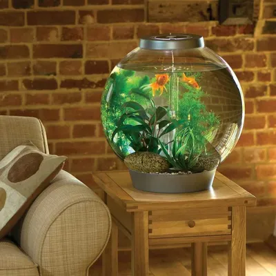 Круглый аквариум в интерьере: 70 фото идей оформления интерьера