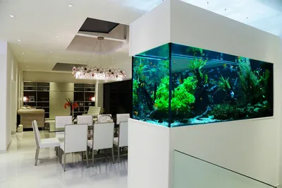 Большой аквариум на кухне: необычный проект голландского дизайнера | О  мебели | Дзен
