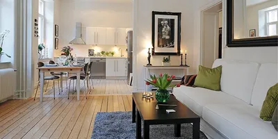 Дизайн однокомнатной квартиры. 50 различных вариантов - syndyk.by