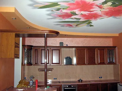 Натяжные потолки на кухню с рисунком: тканевые, двухуровневые, глянцевые,  матовые