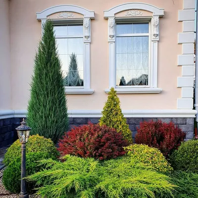 Использование в рокарии карликовых хвойных растений позволяет ему сохранять  свой св… | Front house landscaping, Backyard garden design, Backyard  landscaping designs