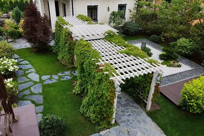 Ландшафтный дизайн двора в частном доме. 50 вдохновляющих фото