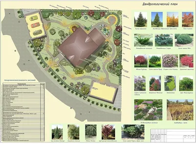 Ландшафтный дизайн дачного участка в Черкесске 🏠 Заказать проектирование ландшафтного  дизайна