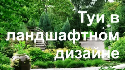 Туи в ландшафтном дизайне по Москве и Московской области - YouTube