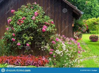 Ландшафтный дизайн с Flowerbed в жилом доме Стоковое Изображение -  изображение насчитывающей бактериальных, флористическо: 207021353