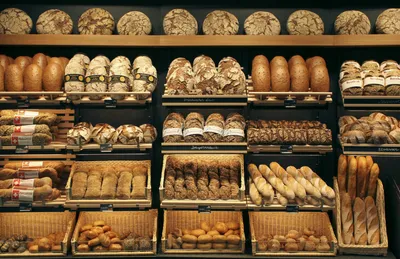 Дизайн булочной, пекарни заказать в СПб: цены, проекты с фото