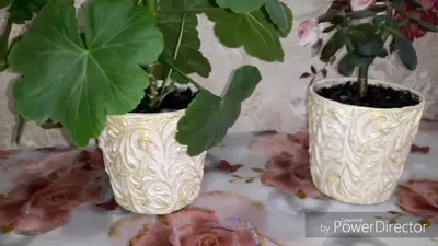 Как сделать и украсить горшки для цветов своими руками